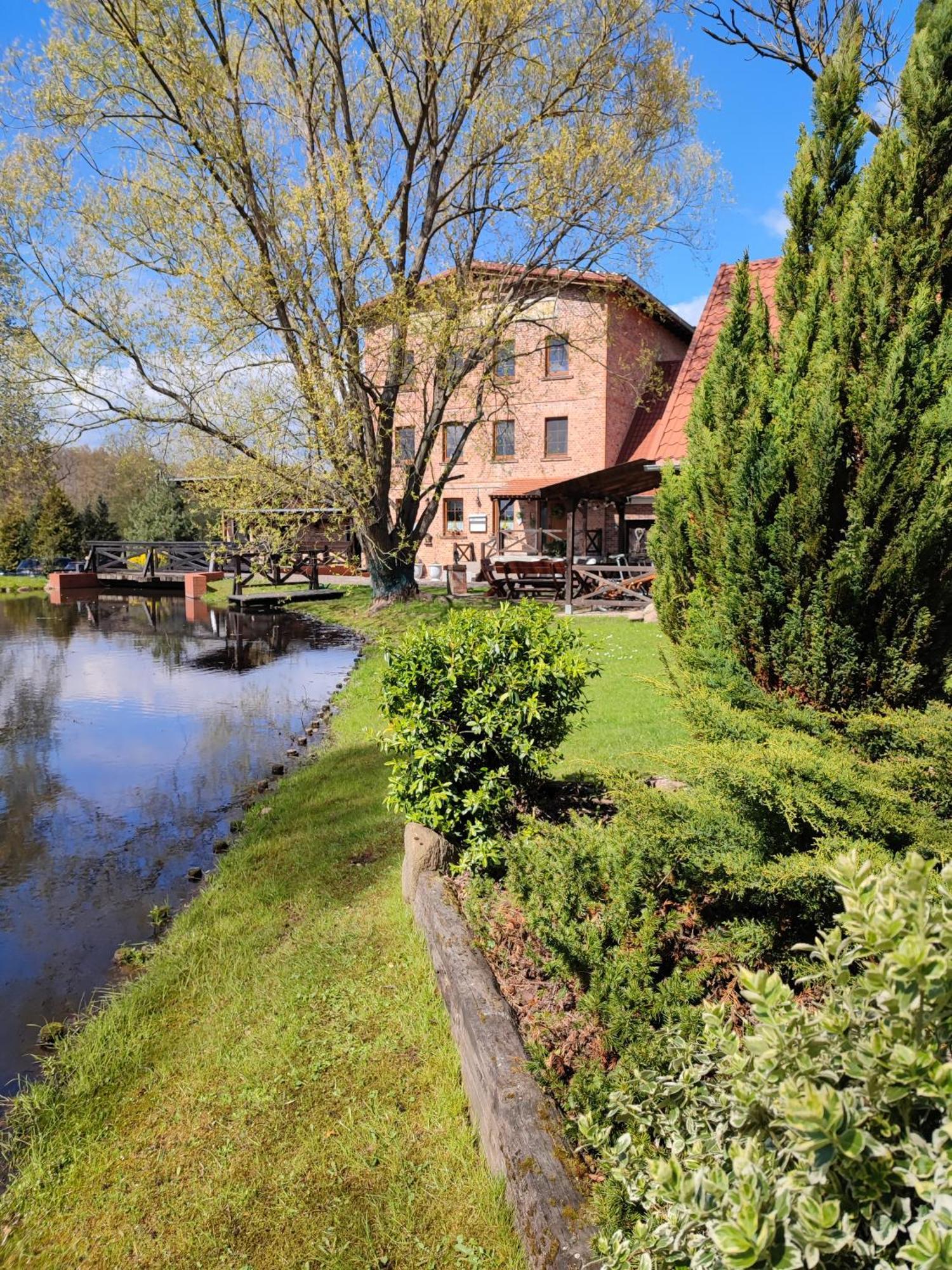 Villa Stary Mlyn W Brzeznicy Brzeznica  Exterior foto